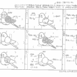 オーダーシート