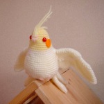 びろーんオカメ